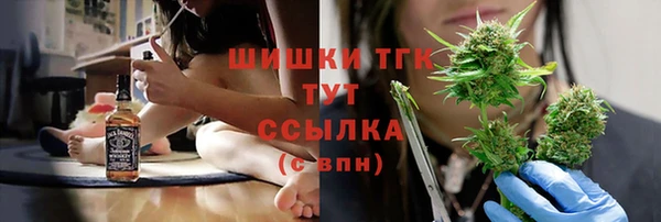 гашик Кулебаки
