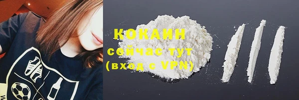 гашик Кулебаки