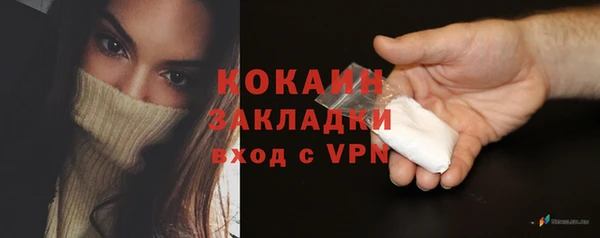 гашик Кулебаки