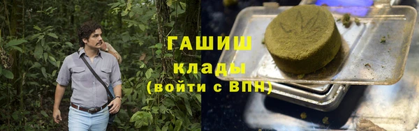 прущие грибы Краснотурьинск
