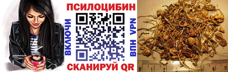 Купить где Нижний Новгород Галлюциногенные грибы ЛСД